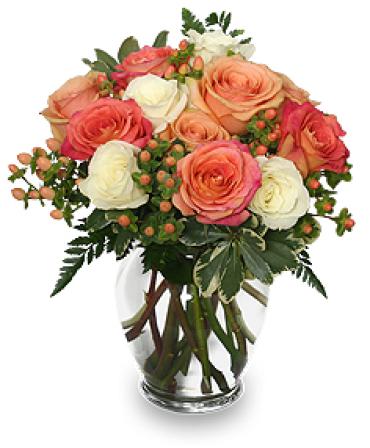 Peach &amp; White Roses