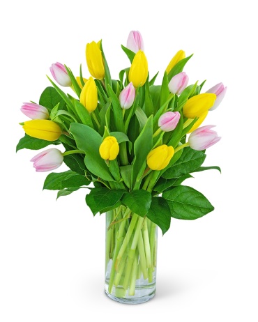 Strawberry Lemonade Deluxe Tulips