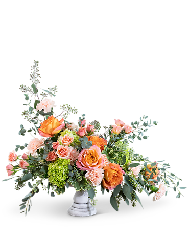 Coral Compote