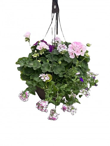 Deluxe Hanging Basket