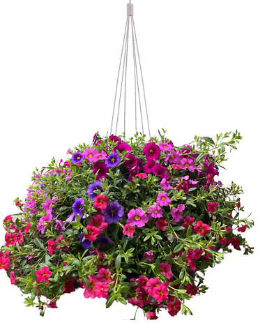 Summertime Porch Hanging Basket