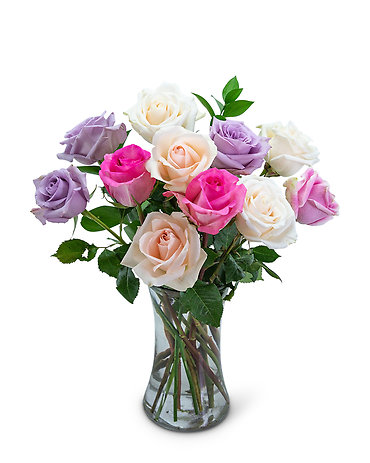 Rainbow\'s End Roses