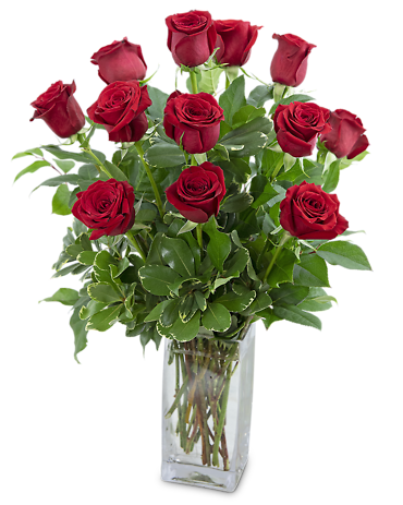 Classic Dozen Red Roses