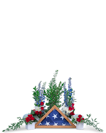 Valiant Tribute