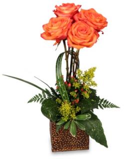 Topiary Of Orange Roses