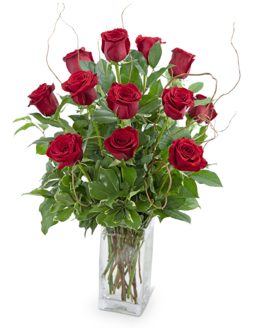 Dozen Red Roses with Willow