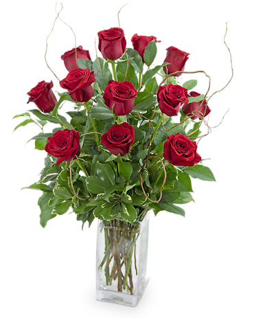 Dozen Red Roses with Willow