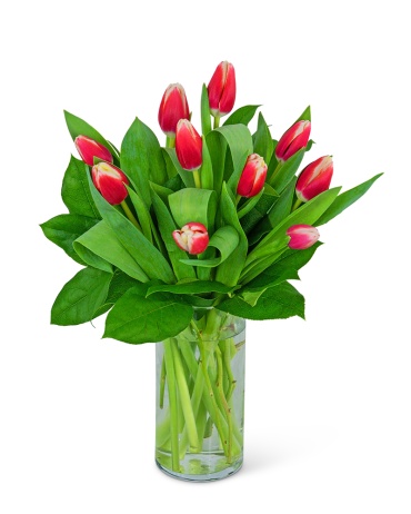 Tigress Tulips