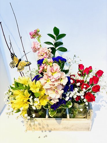 Spring Trio