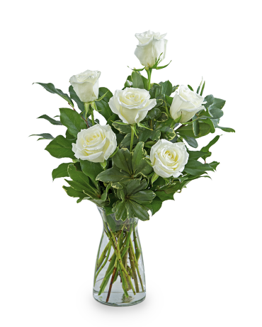 White Roses (6)