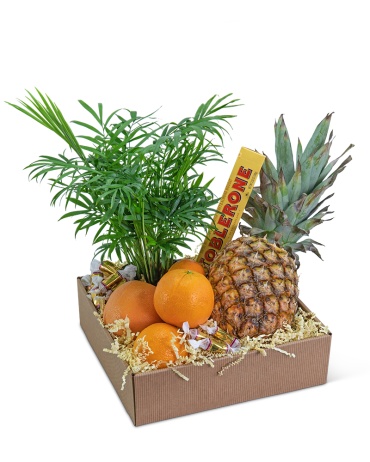 Tropical Oasis Basket