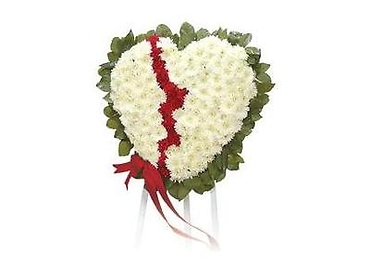 Bleeding Heart